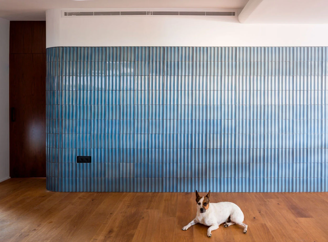 Apartament in Puzol Architecture Abalosllopis / Photo: Daniel Rueda Tile Relieve Gràcia / Mouldings Escocia — Azul 62 Escocia mouldings are companion products, not a fourth Relieve tile.